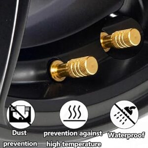 Premium 24K Gold Plated Luxury Metal Car Tyre Valve Stem Caps, Air Covers for Car Tyres